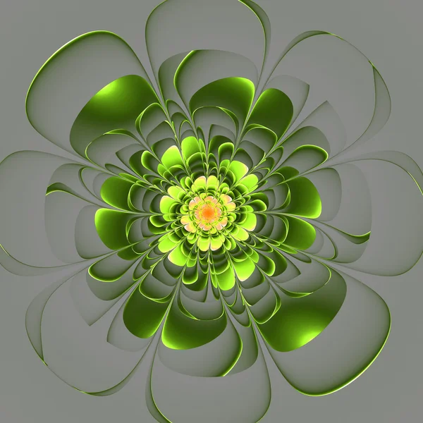 Beautiful green flower on gray background. Computer generated gr — Stock Photo, Image