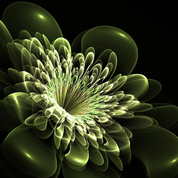黒の背景に美しい緑の花。コンピューターで生成された g — ストック写真