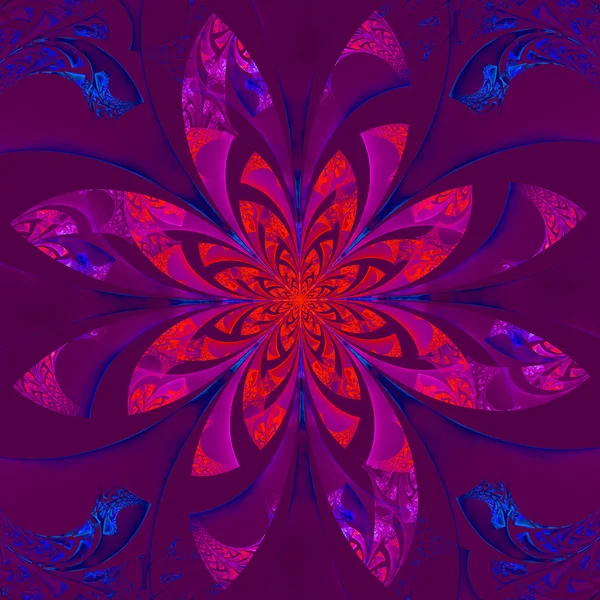 Fabuloso padrão de flor simétrica. Gráficos gerados por computador — Fotografia de Stock