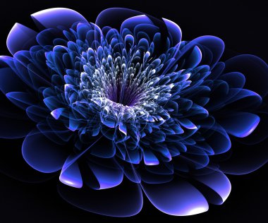 siyah arka plan üzerinde güzel mavi çiçek. oluşturulan bilgisayar