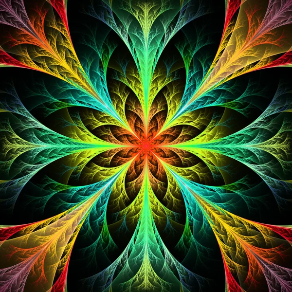 Belle fleur fractale multicolore. Collection - motif givré — Photo