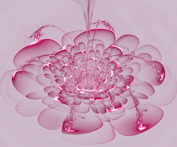 Bela flor rosa no fundo cinza. Gerado por computador — Fotografia de Stock
