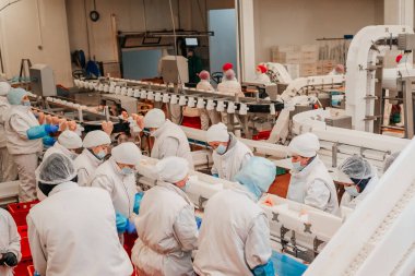 Tavuk fileto üretim hattı. Et üretim fabrikası. Modern kümes hayvanları işleme tesisi. Taşıma bandı. Et fabrikası..