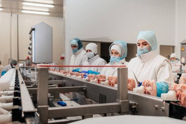 Modern gıda fabrikasında et paketleme ve kesme ile otomatikleştirilmiş üretim hattı. Et işleme ekipmanları.