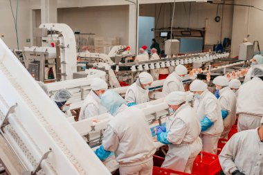 Modern gıda fabrikasında ambalaj ve et kesme ile otomatikleştirilmiş üretim hattı. Et işleme ekipmanları. Gıda ürünleri et fileto üretim hattı plastik ambalaj taşıyıcı üzerinde.