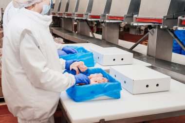 Tavuk fileto üretim hattı. Et üretim fabrikası. Modern kümes hayvanları işleme tesisi. Taşıma bandı. Et fabrikası..