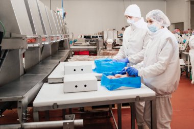 Modern kümes hayvanları işleme tesisi. Yarı bitmiş et ürünleri üretimi için sıra. Et ürünleri üretimi için fabrika. Modern gıda fabrikasında konveyör kemeri..