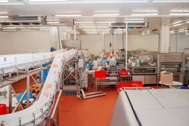 Tavuk fileto üretim hattı. Et üretim fabrikası. Modern kümes hayvanları işleme tesisi. Taşıma bandı. Et fabrikası..