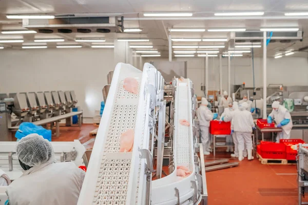 Línea de producción de filetes de pollo. Fábrica para la producción de alimentos a partir de carne. Moderna planta de procesamiento de aves de corral.. — Foto de Stock