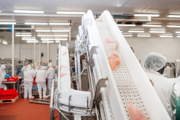 Attrezzature industriali in una fabbrica di carne. Moderno impianto di lavorazione del pollame. Persone che lavorano in una fabbrica di pollo - magazzino foto.Linea di produzione automatizzata in una moderna fabbrica di alimenti. — Foto Stock