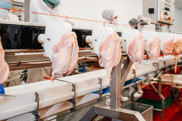 Et işleme tesisi. Tavuk fileto üretim hattı. Modern gıda fabrikasında üretilen üretim hattı. Konveyör kemer gıdası.. — Stok fotoğraf