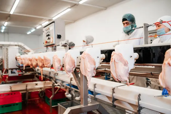 包装や切断と肉の生産のためのライン。食肉工場の産業機器。食肉加工工場。肉の生産ライン. — ストック写真