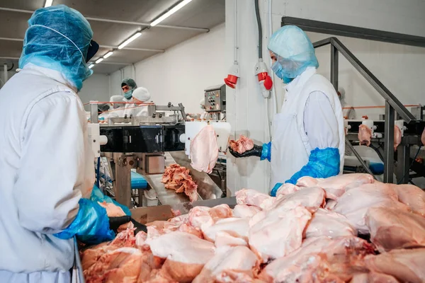 Linea per la produzione di carne con confezionamento e taglio. Attrezzature industriali in una fabbrica di carne. Impianto di lavorazione della carne. Linea di produzione di carne. — Foto Stock