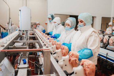 Modern kümes hayvanları işleme tesisi. Yarı bitmiş et ürünleri üretimi için sıra. Et ürünleri üretimi için fabrika. Modern gıda fabrikasında konveyör kemeri..