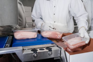 Yarı bitmiş et ürünlerinin üretimi için sıra. Gıda endüstrisinde et işleme. Bir taşıma bandındaki kutulara et dilimleri paketleme. Modern kümes hayvanları işleme tesisi.