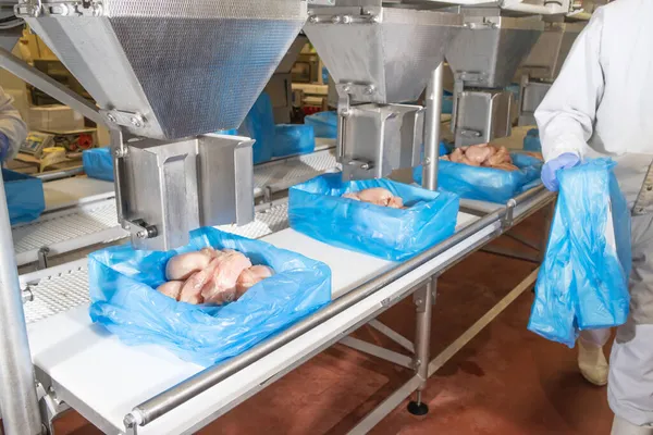 半完成肉製品の生産のためのライン食品業界での食肉加工コンベアベルト上のボックスに肉スライスの梱包。. — ストック写真
