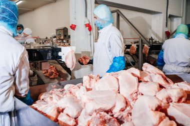 Et işleme tesisi. Tavuk fileto üretim hattı. Modern gıda fabrikasında üretilen üretim hattı. Konveyör kemer gıdası..