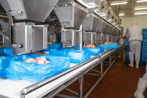 Moderno impianto di lavorazione del pollame. Fabbrica per la produzione di alimenti da carne. Cinghia di trasporto alimentare. Linea di produzione automatizzata nella moderna fabbrica alimentare. — Foto Stock