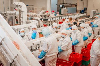 Et fabrikasında et işleme tesisi. Bir et fabrikasında endüstriyel ekipman. Modern kümes hayvanları işleme tesisi. Bir tavuk fabrikasında çalışan insanlar..