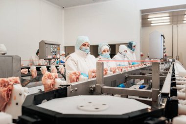 Et fabrikasında et işleme tesisi. Bir et fabrikasında endüstriyel ekipman. Modern kümes hayvanları işleme tesisi. Bir tavuk fabrikasında çalışan insanlar..