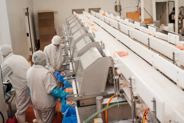 Tavuk fileto üretim hattı. Et üretim fabrikası. Modern kümes hayvanları işleme tesisi. Taşıma bandı. Et fabrikası..