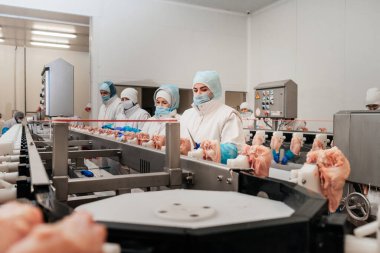 Tavuk fileto üretim hattı. Et üretim fabrikası. Modern kümes hayvanları işleme tesisi. Taşıma bandı. Et fabrikası..