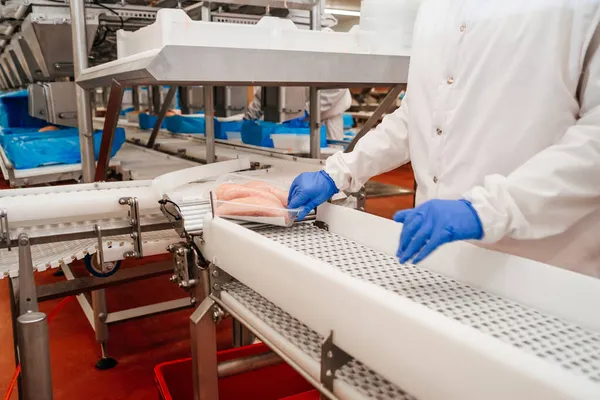 Moderna planta de procesamiento de aves.Fábrica para la producción de alimentos a partir de carne.Cinta transportadora Food.Automated línea de producción en la moderna fábrica de alimentos. —  Fotos de Stock