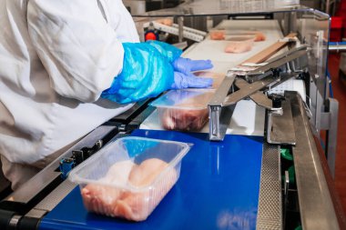 Modern kümes hayvanları işleme tesisi. Et ürünleri üretim fabrikası. Konveyör kuşağı gıdası. Modern gıda fabrikasında üretim hattı..