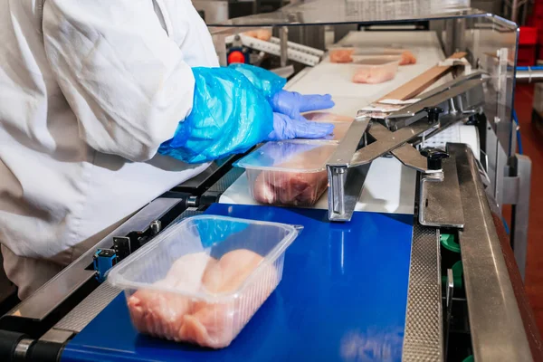 Fábrica moderna de processamento de aves de capoeira para a produção de alimentos a partir de carnes. Linha de produção de correia transportadora Food.Automated na fábrica de alimentos moderna. — Fotografia de Stock