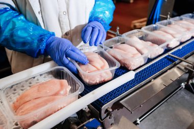 Et işleme tesisi. Tavuk fileto üretim hattı. Modern gıda fabrikasında üretilen üretim hattı. Konveyör kemer gıdası..