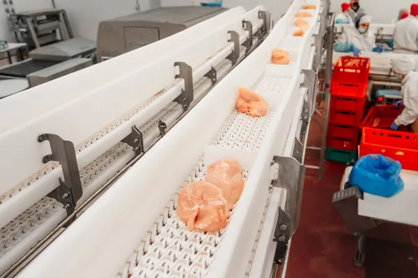 Tavuk fileto üretim hattı. Et üretim fabrikası. Modern kümes hayvanları işleme tesisi. Taşıma bandı. Et fabrikası.. — Stok fotoğraf