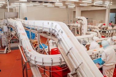 Modern kümes hayvanları işleme tesisi. Et ürünleri üretim fabrikası. Konveyör kuşağı gıdası. Modern gıda fabrikasında üretim hattı..