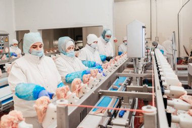 Modern kümes hayvanları işleme tesisi. Et ürünleri üretim fabrikası. Konveyör kuşağı gıdası. Modern gıda fabrikasında üretim hattı..