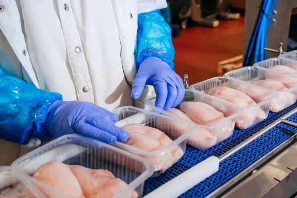 Lavorazione della carne, industria alimentare.Imballaggio di fette di carne in scatole, nastro trasportatore.Persone che lavorano in una linea di produzione di filetti di pollo.. — Foto Stock