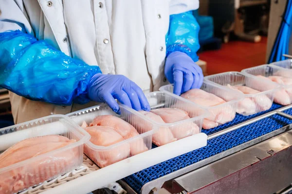 Línea para la producción de carne con envasado y corte. Equipo industrial en una fábrica de carne. Planta procesadora de carne. Línea de producción de carne. — Foto de Stock