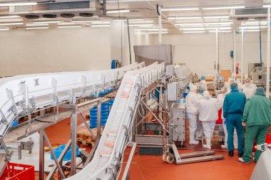 Et fabrikasında et işleme tesisi. Bir et fabrikasında endüstriyel ekipman. Modern kümes hayvanları işleme tesisi. Bir tavuk fabrikasında çalışan insanlar..