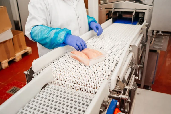 Planta de procesamiento de carne.Equipo industrial en una fábrica de carne.Planta moderna de procesamiento de aves.Personas que trabajan en una fábrica de pollo: foto.Línea de producción automatizada en una fábrica de alimentos moderna. —  Fotos de Stock