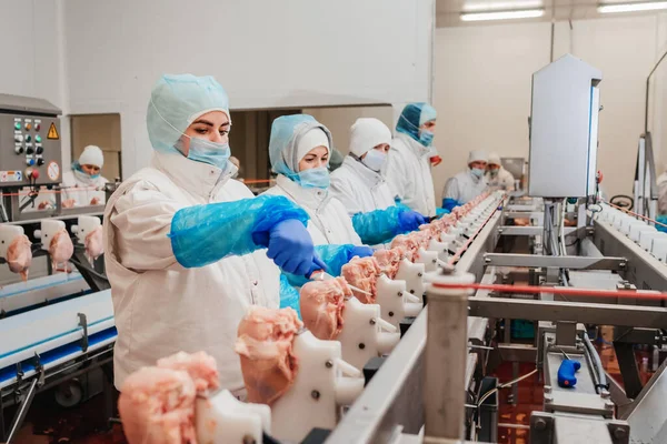 Moderno impianto di lavorazione del pollame. Fabbrica per la produzione di alimenti da carne. Cinghia di trasporto alimentare. Linea di produzione automatizzata nella moderna fabbrica alimentare. — Foto Stock