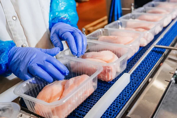 Línea de producción de filetes de pollo. Línea de producción automatizada en fábrica de alimentos moderna. Cinta transportadora Food.Modern planta de procesamiento de aves de corral. —  Fotos de Stock