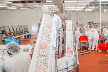 Et fabrikasında et işleme tesisi. Bir et fabrikasında endüstriyel ekipman. Modern kümes hayvanları işleme tesisi. Bir tavuk fabrikasında çalışan insanlar..