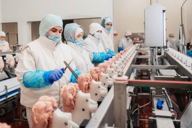 Et fabrikasında et işleme tesisi. Bir et fabrikasında endüstriyel ekipman. Modern kümes hayvanları işleme tesisi. Bir tavuk fabrikasında çalışan insanlar..