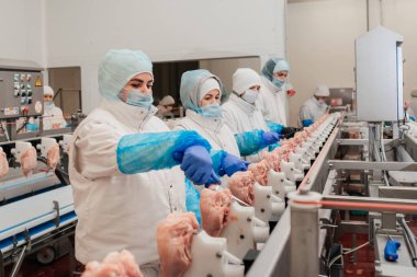Modern gıda fabrikasında et paketleme ve kesme ile otomatikleştirilmiş üretim hattı. Et işleme ekipmanları.