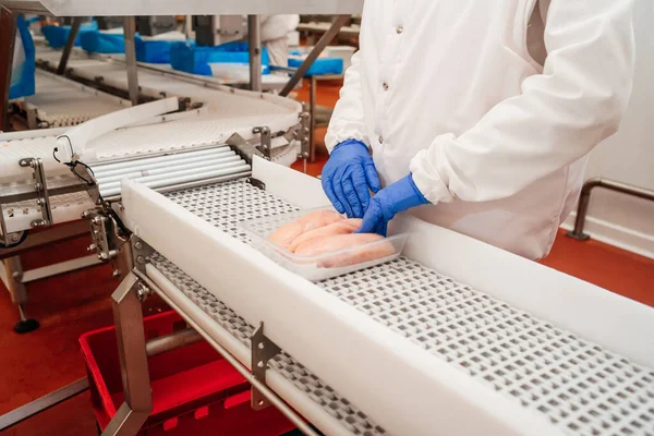 Línea para la producción de productos cárnicos semiacabados.Procesamiento de carne en la industria alimentaria.Embalaje de lonchas de carne en cajas en una cinta transportadora.planta moderna de procesamiento de aves de corral. —  Fotos de Stock