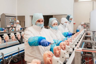 Tavuk fileto üretim hattı. Et üretim fabrikası. Modern kümes hayvanları işleme tesisi. Taşıma bandı. Et fabrikası..