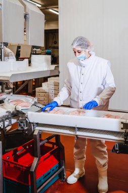 Et fabrikasında et işleme tesisi. Bir et fabrikasında endüstriyel ekipman. Modern kümes hayvanları işleme tesisi. Bir tavuk fabrikasında çalışan insanlar..