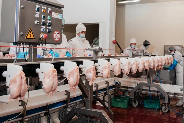 Attrezzature industriali in una fabbrica di carne. Moderno impianto di lavorazione del pollame. Persone che lavorano in una fabbrica di pollo - magazzino foto.Linea di produzione automatizzata in una moderna fabbrica di alimenti. — Foto Stock