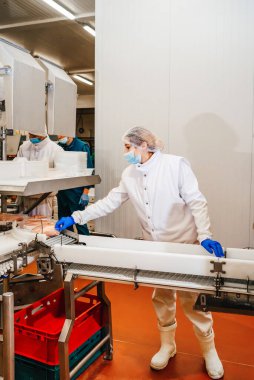 Modern kümes hayvanları işleme tesisi. Et ürünleri üretim fabrikası. Konveyör kuşağı gıdası. Modern gıda fabrikasında üretim hattı..