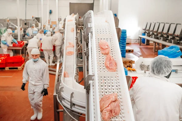 Línea de producción de filetes de pollo. Fábrica para la producción de alimentos a partir de carne. Moderna planta de procesamiento de aves de corral.. —  Fotos de Stock
