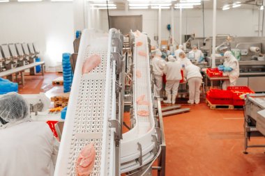 Modern kümes hayvanları işleme tesisi. Et ürünleri üretim fabrikası. Konveyör kuşağı gıdası. Modern gıda fabrikasında üretim hattı..
