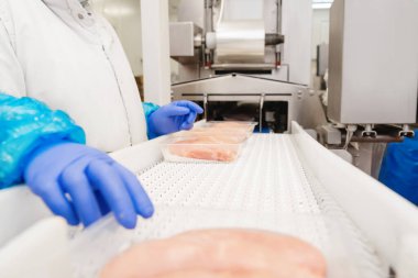 Et fabrikasında et işleme tesisi. Bir et fabrikasında endüstriyel ekipman. Modern kümes hayvanları işleme tesisi. Bir tavuk fabrikasında çalışan insanlar..